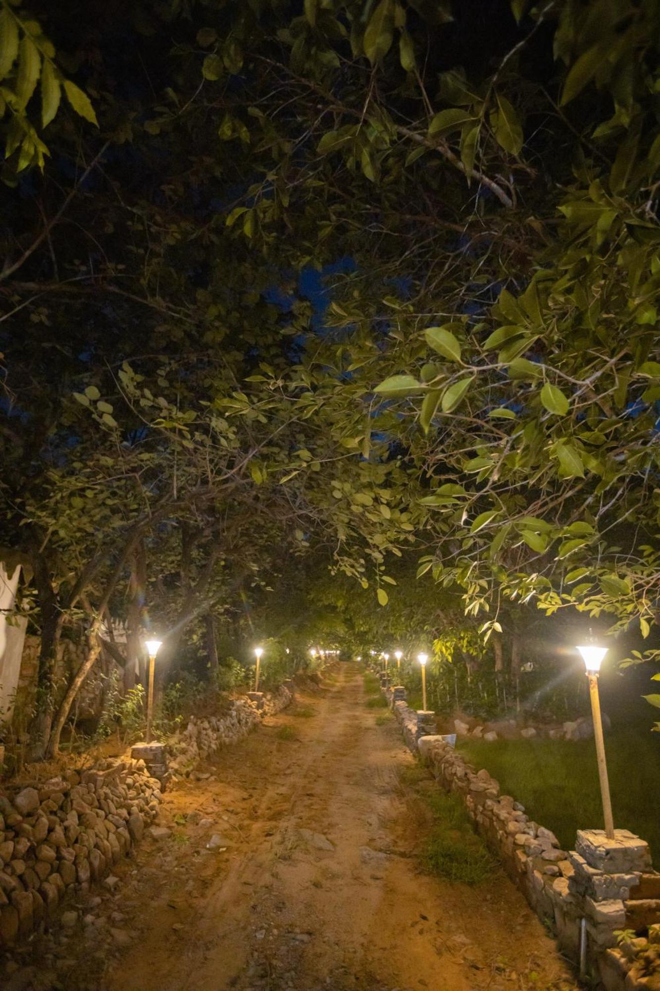 Nature Village Resort Pushkar Exteriör bild